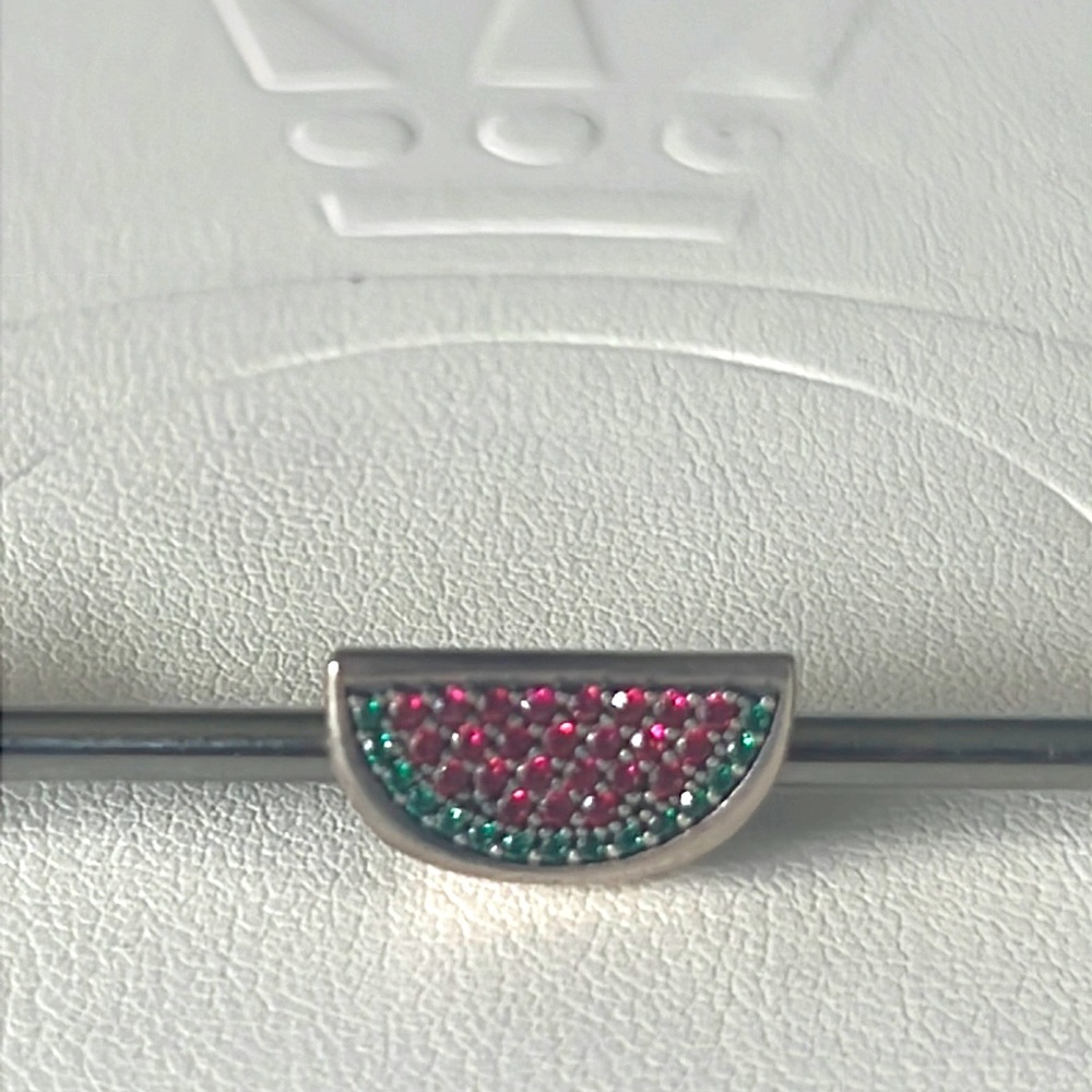 Retired Pandora Watermelon charm